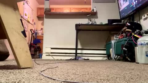 Submissive Slut LOVES adoration online show from 02/21/26, 04:41