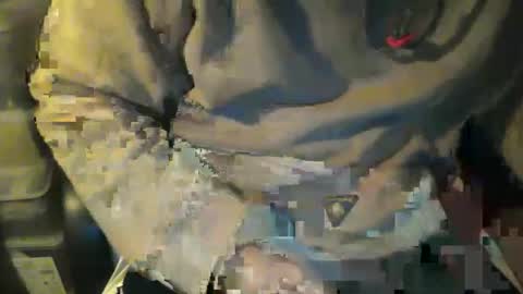 CIPPALIPPA online show from 11/08/25, 12:22