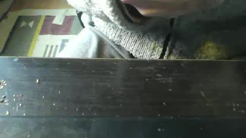 CIPPALIPPA online show from 03/31/26, 02:28