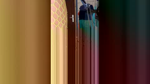 stambo0704987834 online show from 01/17/26, 01:16