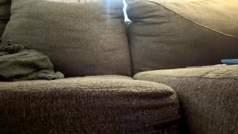 starr3095 online show from 12/03/25, 03:10