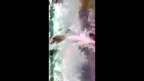 Snapshot of starrywhispers chatting on 03/28/26, 11:21 StarryWhispers online show from 03/28/26, 11:21