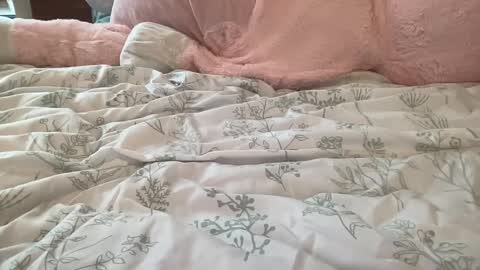 Stassiethatsororitygirl online show from 02/22/25, 08:53