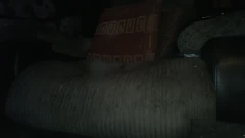 Snapshot of ste_wulf chatting on 03/04/25, 01:34 ste_wulf online show from 03/04/25, 01:34