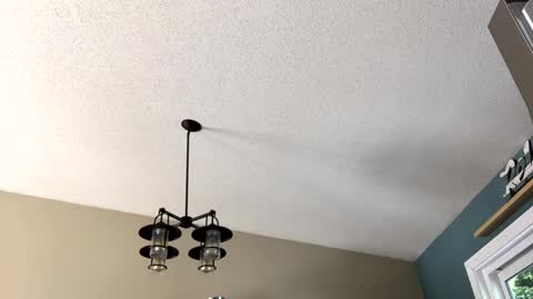 Steakman online show from 02/23/25, 06:01