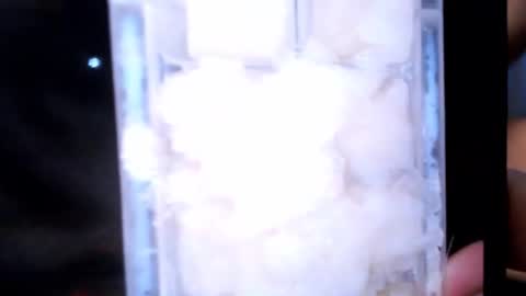 stealth1337 online show from 03/02/26, 02:24