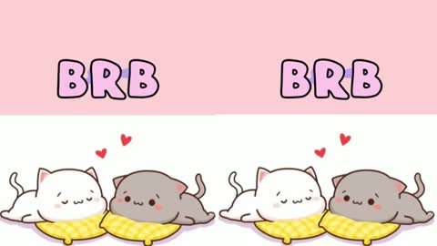 STEFFAN online show from 02/16/25, 05:37