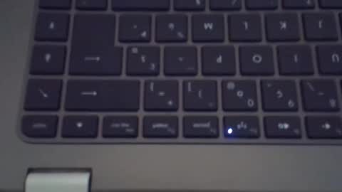 steflab online show from 11/14/25, 10:36