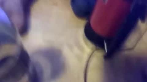 anube krato online show from 10/19/25, 01:28