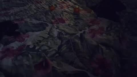 Snapshot of stel7621 chatting on 01/07/25, 06:56 Rocco-load online show from 01/07/25, 06:56