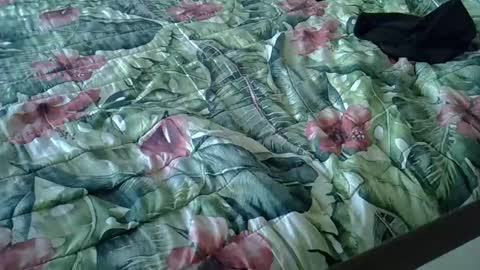 Snapshot of stel7621 chatting on 01/15/25, 03:39 Rocco-load online show from 01/15/25, 03:39