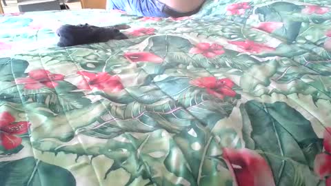 Snapshot of stel7621 chatting on 10/16/25, 01:56 Rocco-load online show from 10/16/25, 01:56