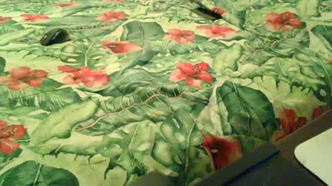 Snapshot of stel7621 chatting on 12/18/25, 06:58 Rocco-load online show from 12/18/25, 06:58