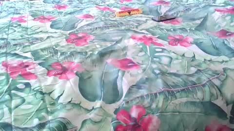 Rocco-load online show from 04/04/26, 02:14