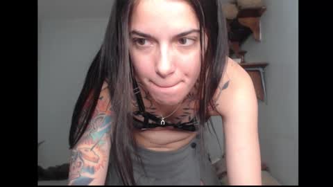 Snapshot of stella_art chatting on 02/17/26, 02:08 Stella online show from 02/17/26, 02:08