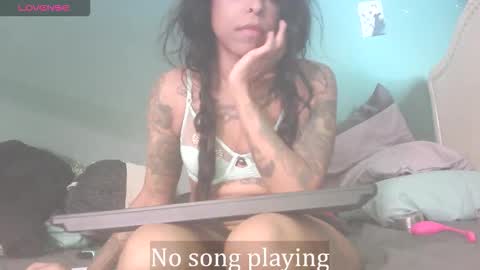 Stella Clitella online show from 11/22/25, 07:02