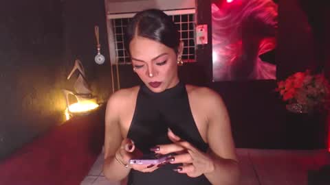 stella online show from 11/11/25, 04:51