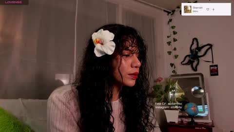 stellart_ online show from 12/29/24, 03:11