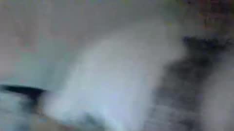 stevedoer1 online show from 05/02/26, 10:26