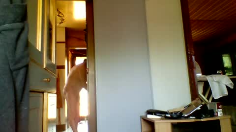 Snapshot of stevefromfrance chatting on 07/20/26, 08:50 stevefromfrance online show from 07/20/26, 08:50