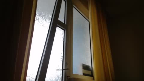 Snapshot of stevenbradley2017 chatting on 01/26/25, 11:28 Steven online show from 01/26/25, 11:28