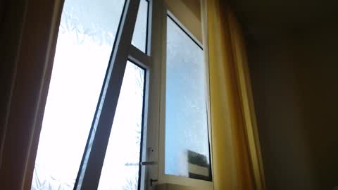 Snapshot of stevenbradley2017 chatting on 02/19/25, 01:39 Steven online show from 02/19/25, 01:39