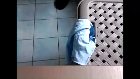 stevenx1974 online show from 03/08/26, 09:02