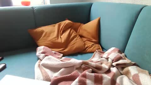 stevessky online show from 12/30/24, 08:54