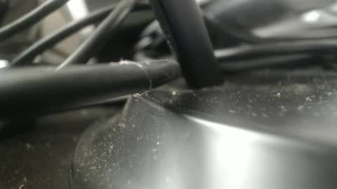 Stew Pididiot online show from 09/11/25, 04:51