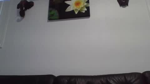 stick6996 online show from 06/01/26, 10:44