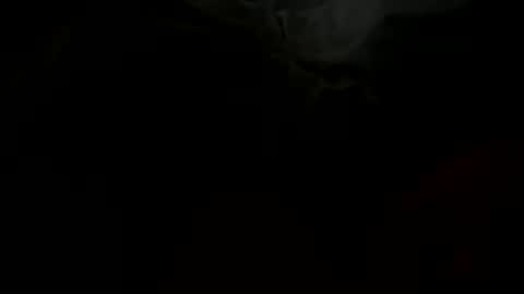 stockungs online show from 02/14/25, 10:38