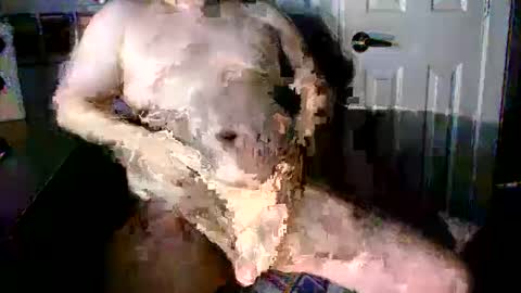 StockynCuddly online show from 10/16/25, 11:06