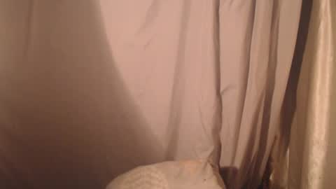 stonenipple online show from 10/28/25, 05:48