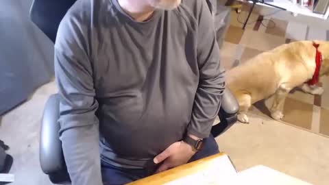 Snapshot of stormy6569 chatting on 03/14/26, 01:44 Stormy6569 online show from 03/14/26, 01:44