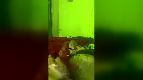 straight208 online show from 05/08/26, 09:36