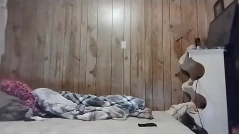 Snapshot of straighttoy chatting on 03/03/25, 05:09 straighttoy online show from 03/03/25, 05:09