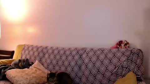 Strawberrylotsacake online show from 11/24/25, 04:07