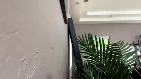 Ruby Moon online show from 12/11/24, 05:59