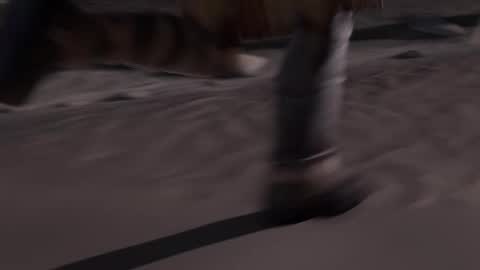 stream247_v2 online show from 01/15/26, 10:09