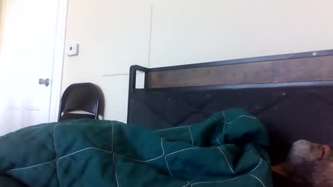 Snapshot of strictdaddy13 chatting on 02/21/25, 02:38 strictdaddy13 online show from 02/21/25, 02:38