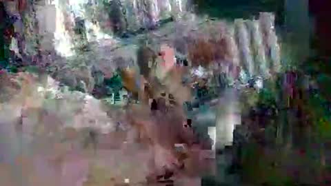 stud_1975 online show from 03/02/25, 08:05