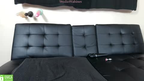 Snapshot of studiowahines chatting on 03/12/25, 03:46 StudioWahines online show from 03/12/25, 03:46