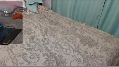 stupid little kitten online show from 12/06/24, 09:43