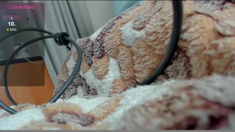 stupid little kitten online show from 01/10/25, 12:15