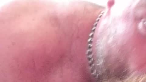 Subbear online show from 06/30/26, 09:32