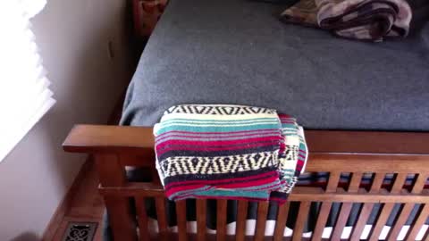 Submitted4u online show from 01/12/25, 06:59