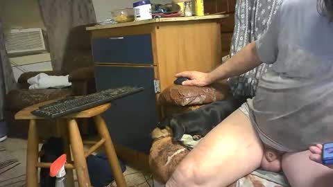 subnudesunshine989451 online show from 12/02/25, 02:17