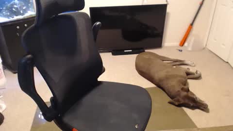 Snapshot of subryan03 chatting on 10/15/25, 02:06 do i have lil tits or pecs online show from 10/15/25, 02:06