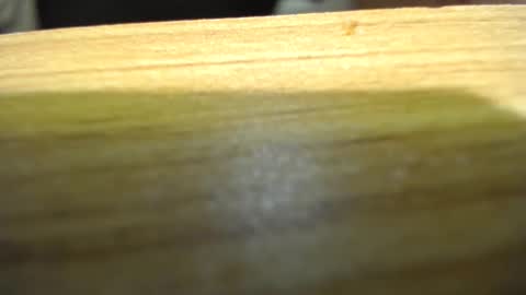 Snapshot of subswichuser00060960 chatting on 01/15/25, 06:08 subswitchuser online show from 01/15/25, 06:08