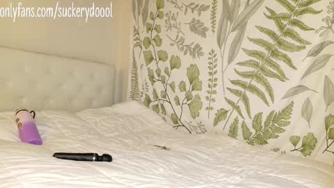 Snapshot of suckerydoool chatting on 02/01/26, 03:05 Maya online show from 02/01/26, 03:05